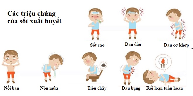 Dấu Hiệu Nhận Biết Sốt Xuất Huyết Ở Trẻ Em