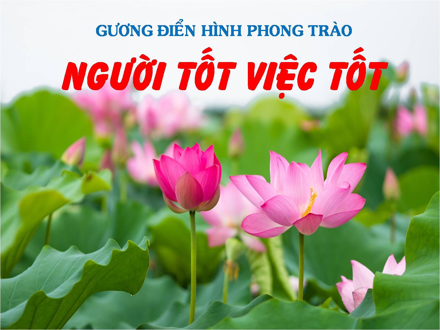 Bà Lê Thị Loan - tấm gương sáng về người phụ nữ nhân hậu